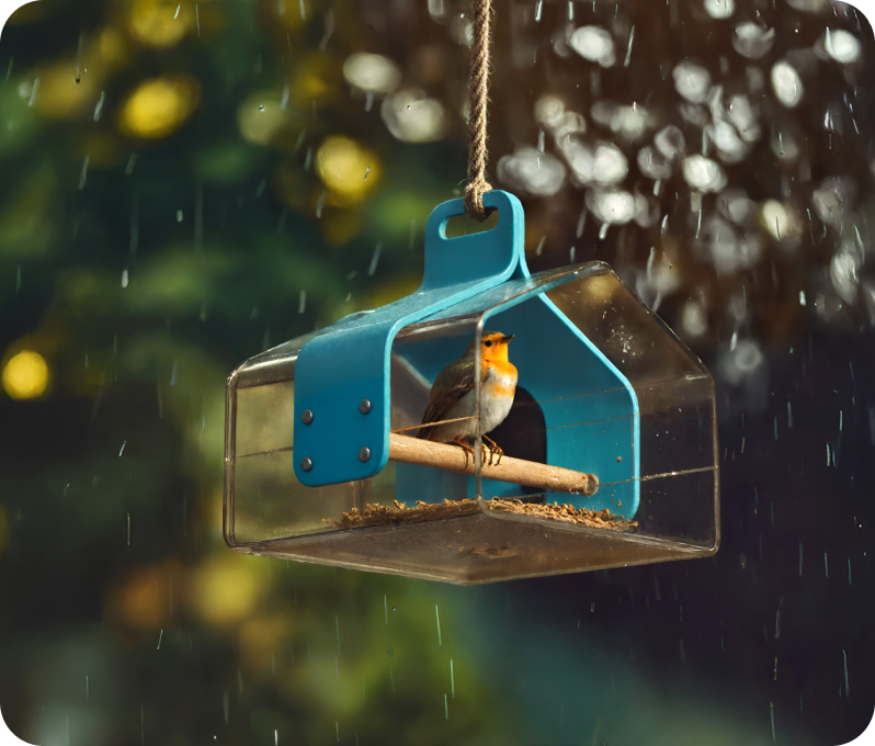 A bird perched inside a blue birdhouse during rainfall