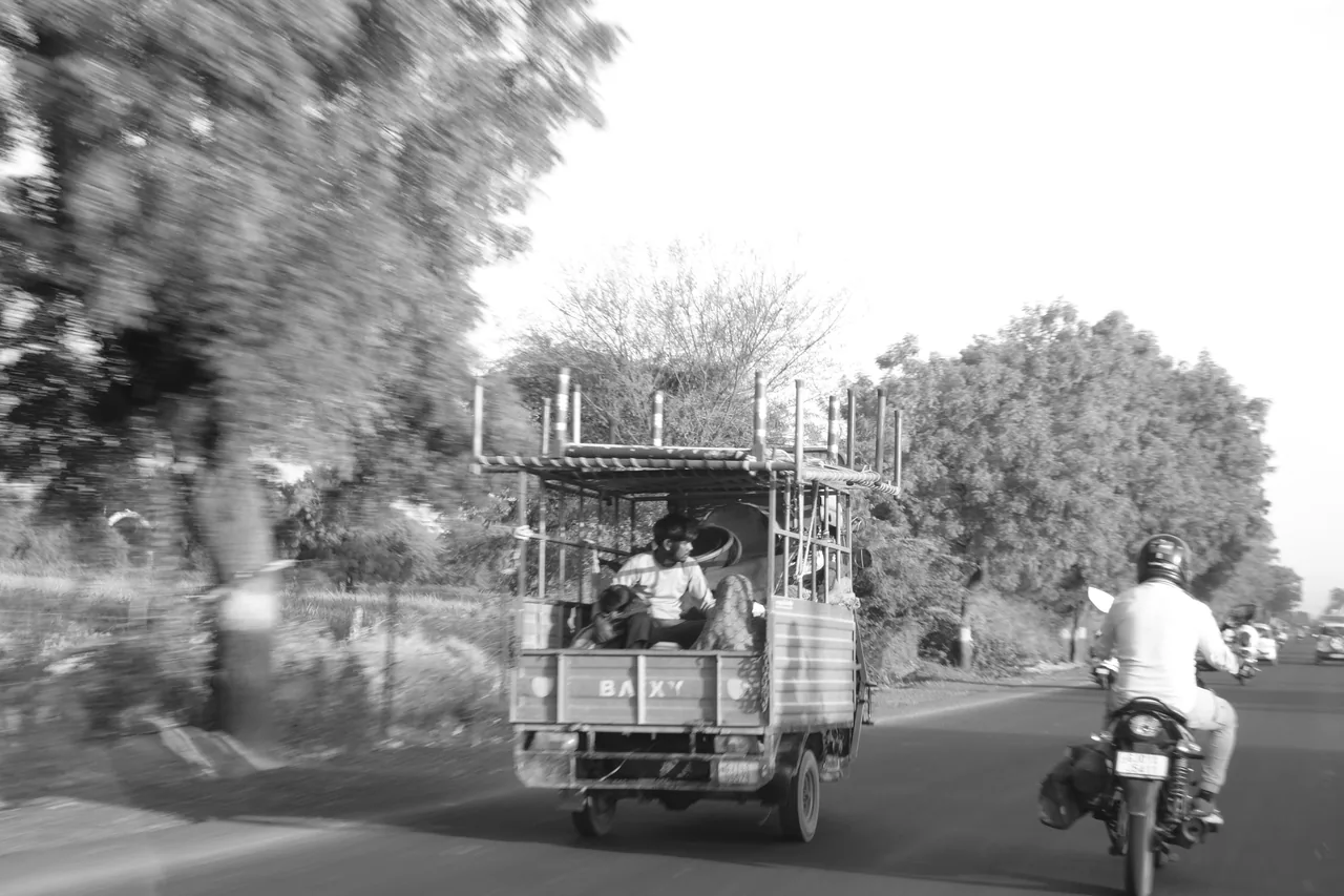 A truck and a motorcycle on a sunlit, tree-lined road