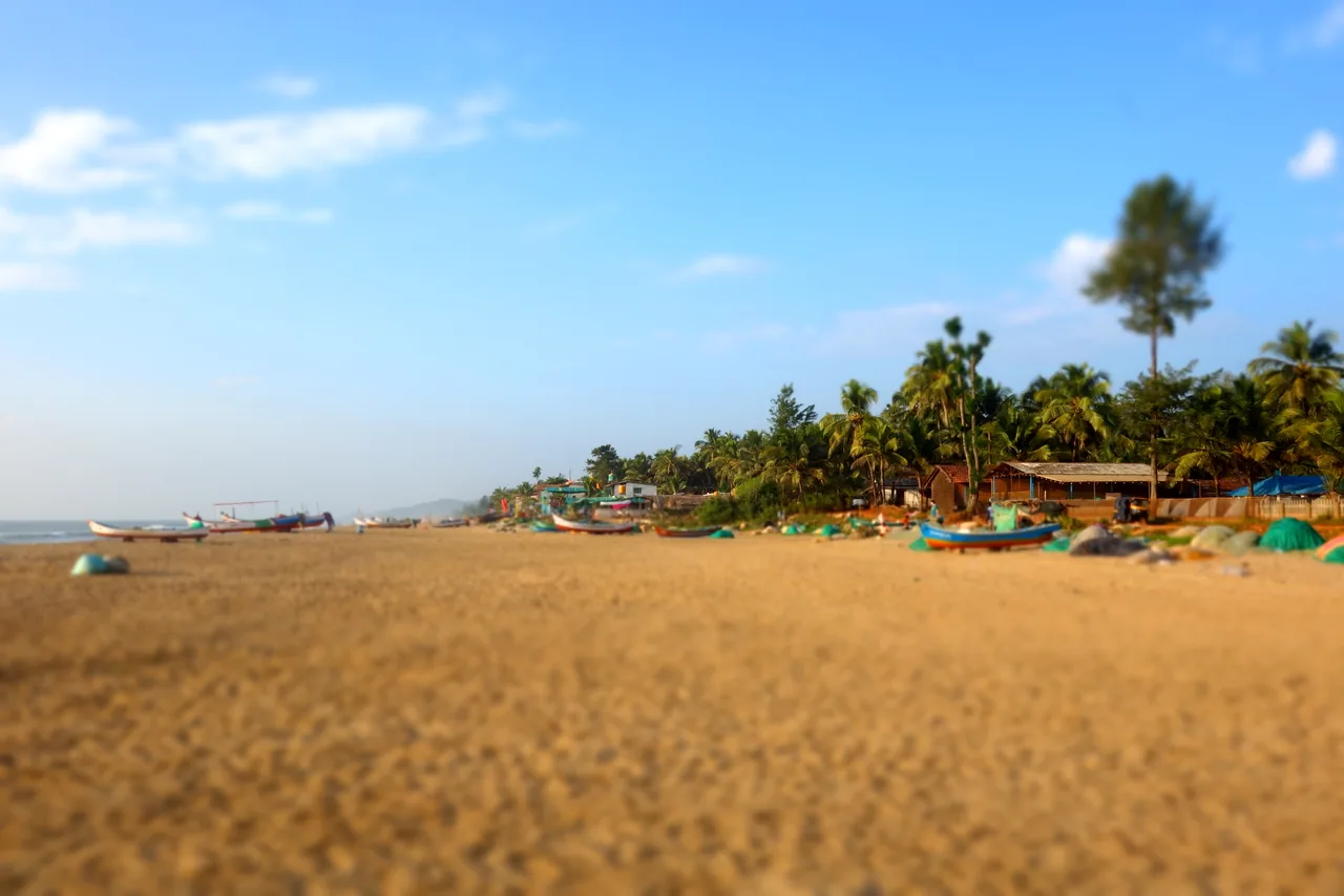 A wide sandy beach lined with palm trees under a blue sky