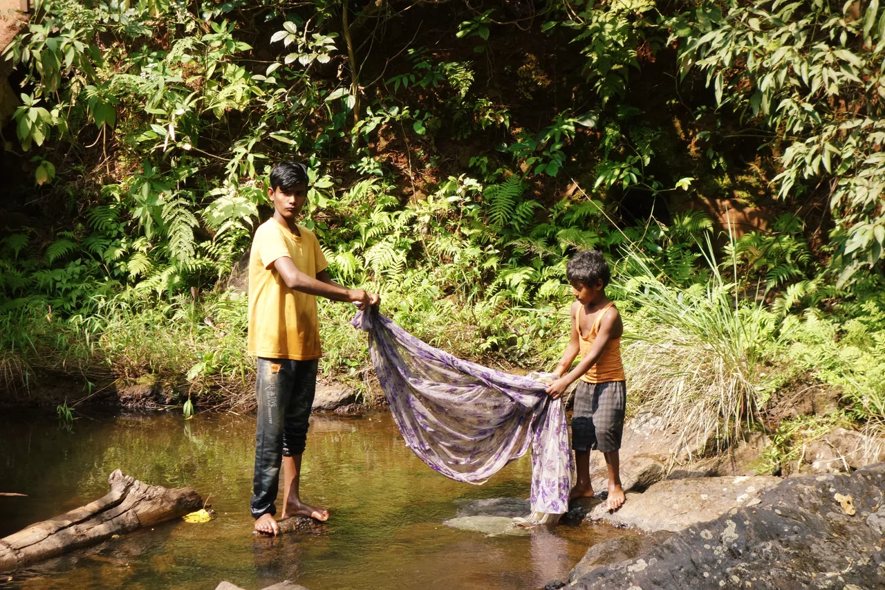 Two people holding a cloth beside a stream in a green wooded setting