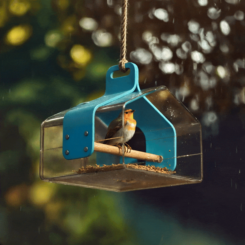 A bird resting inside a transparent birdhouse hanging in the rain